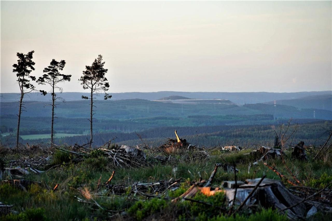 Petite perle en Haute Ardenne avec vue sur la vallée, cabine infra-rouge et bain balnéo Lierneux Exterior foto