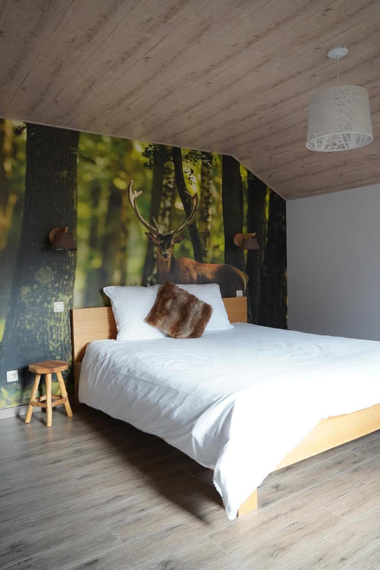 Petite perle en Haute Ardenne avec vue sur la vallée, cabine infra-rouge et bain balnéo Lierneux Exterior foto